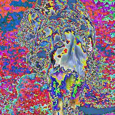 example dog image transformed